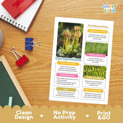 Lycopodium Plant Research Pages and Worksheets