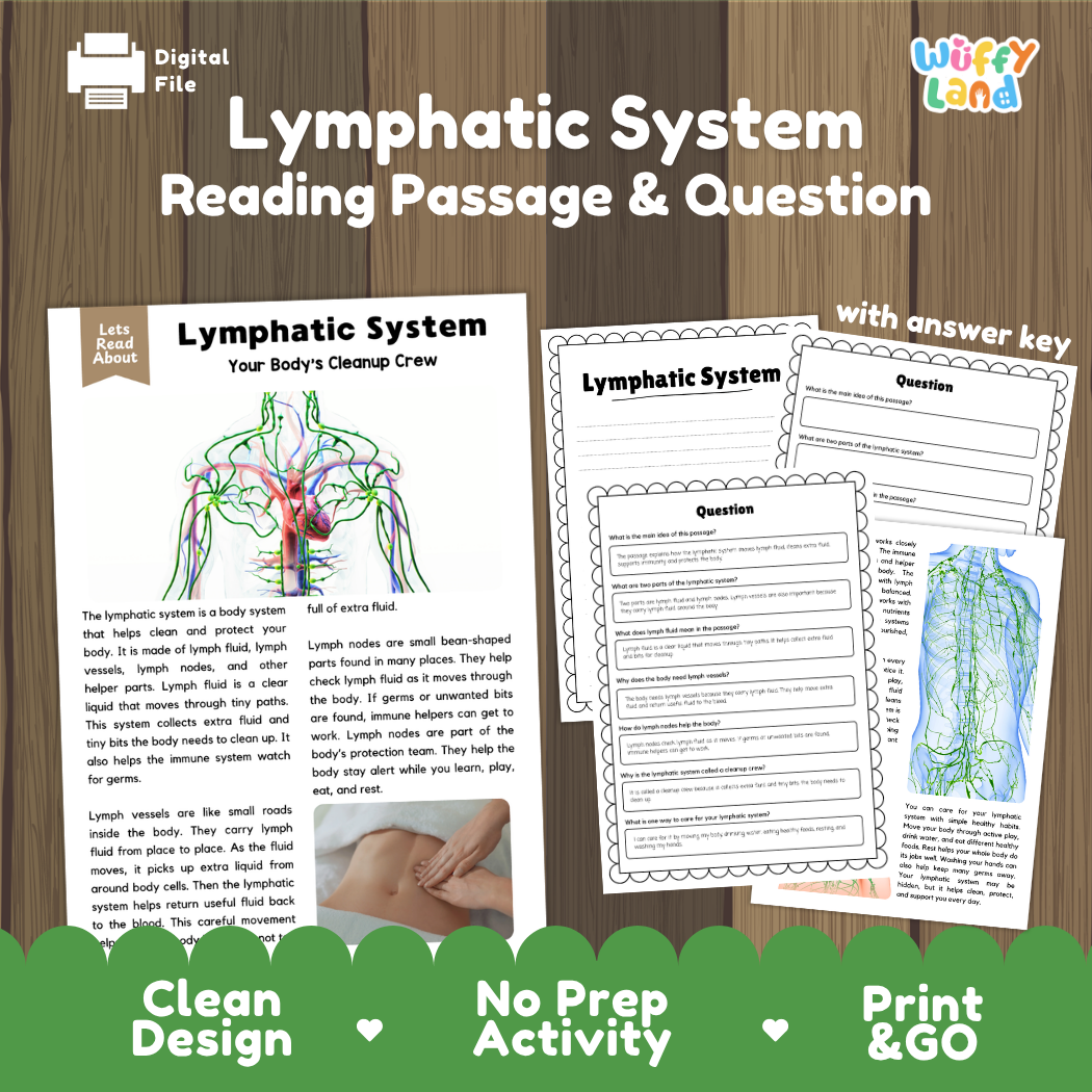 Lymphatic system reading comprehension passage and questions printable activity pack with answer key for elementary students