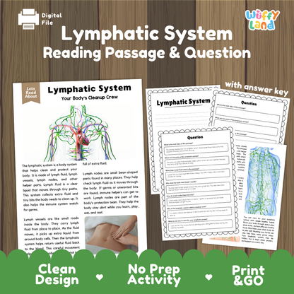 Lymphatic system reading comprehension passage and questions printable activity pack with answer key for elementary students