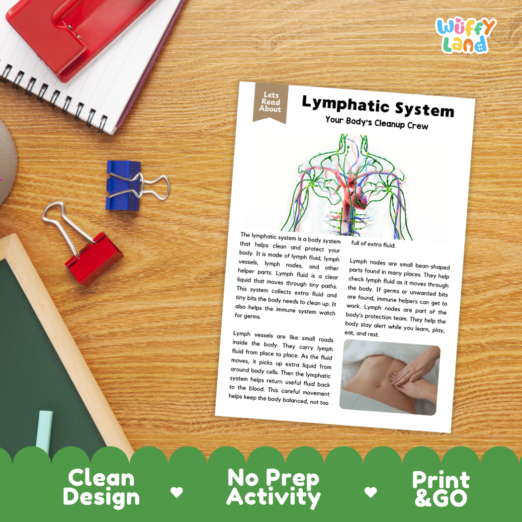 Student reading comprehension worksheet with short-answer questions and lined sections about the human lymphatic system