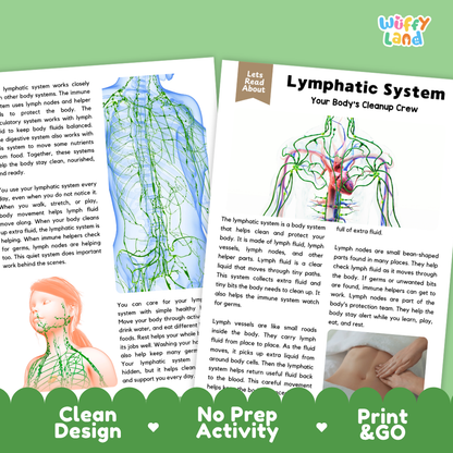 Teacher answer key page showing complete question solutions for Lymphatic System human body reading comprehension practice