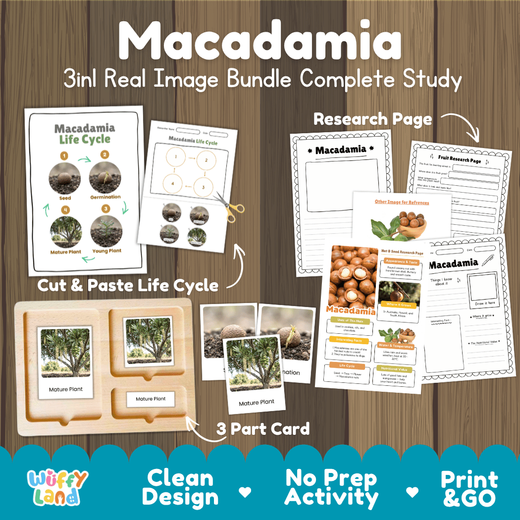 Complete Macadamia 3-in-1 real image study bundle featuring cut and paste worksheets, Montessori 3-part cards, and research pages 🌰🌱