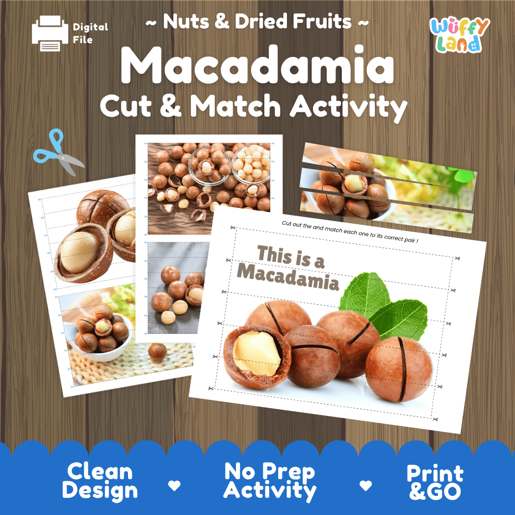 Macadamia Cut and Match Activity Worksheets | Nuts and Dried Fruits Puzzle Printables