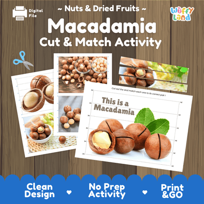 Macadamia Cut and Match Activity Worksheets | Nuts and Dried Fruits Puzzle Printables