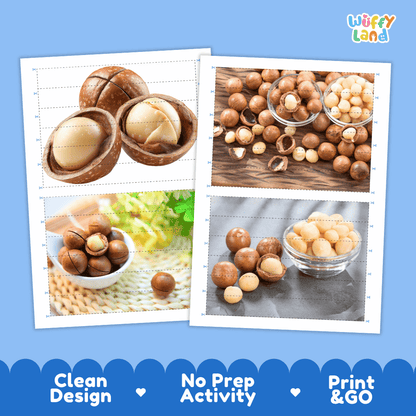 Macadamia Cut and Match Activity Worksheets | Nuts and Dried Fruits Puzzle Printables