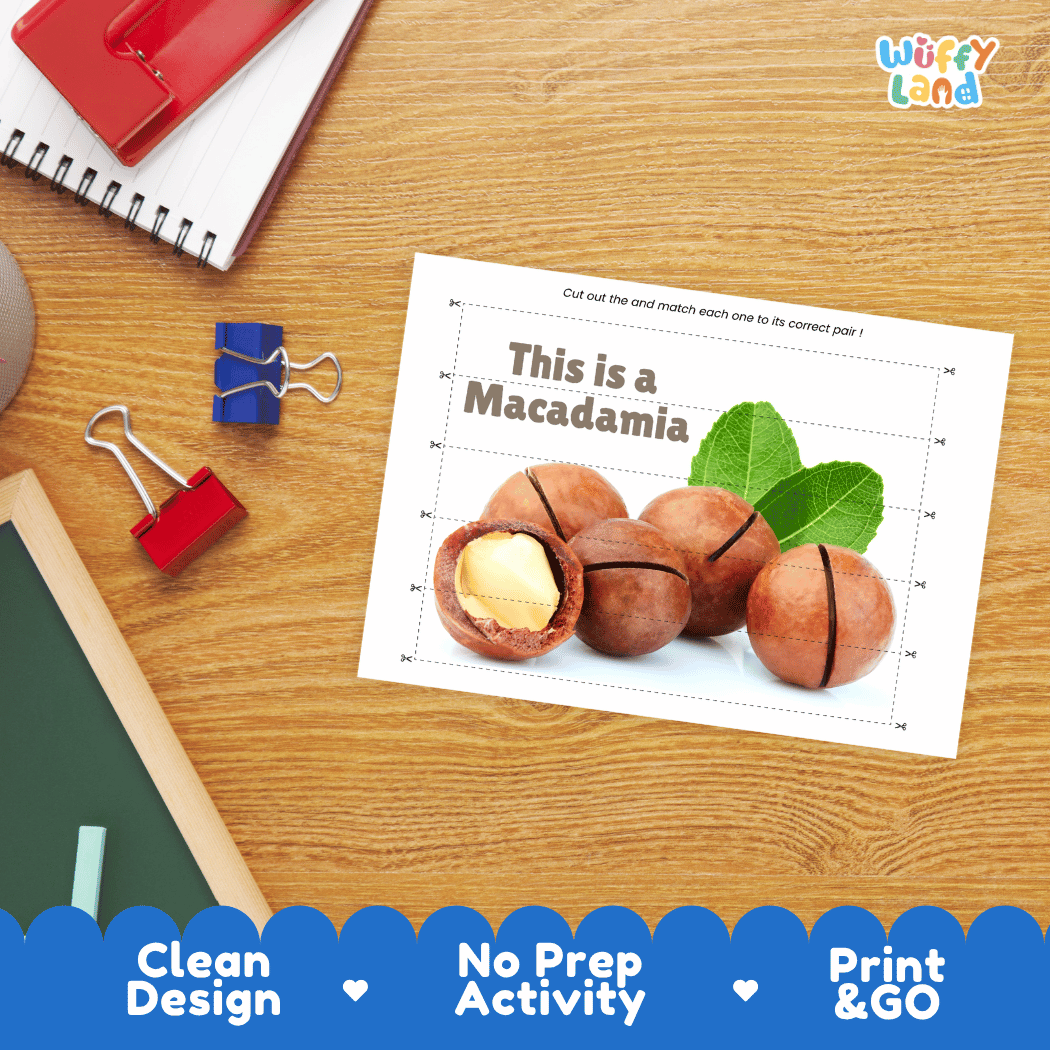 Macadamia Cut and Match Activity Worksheets | Nuts and Dried Fruits Puzzle Printables