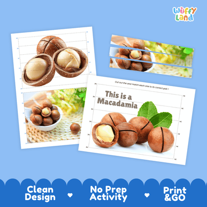 Macadamia Cut and Match Activity Worksheets | Nuts and Dried Fruits Puzzle Printables