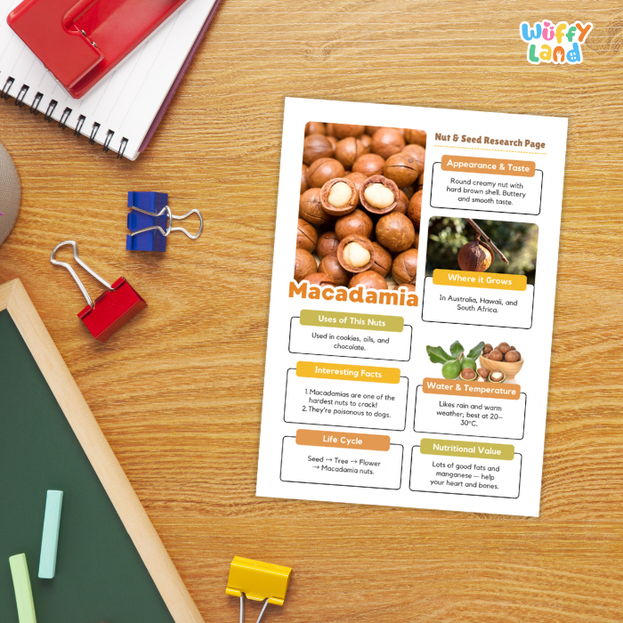 Macadamia Nut and Seed Research Page Worksheets Plant Science Activity