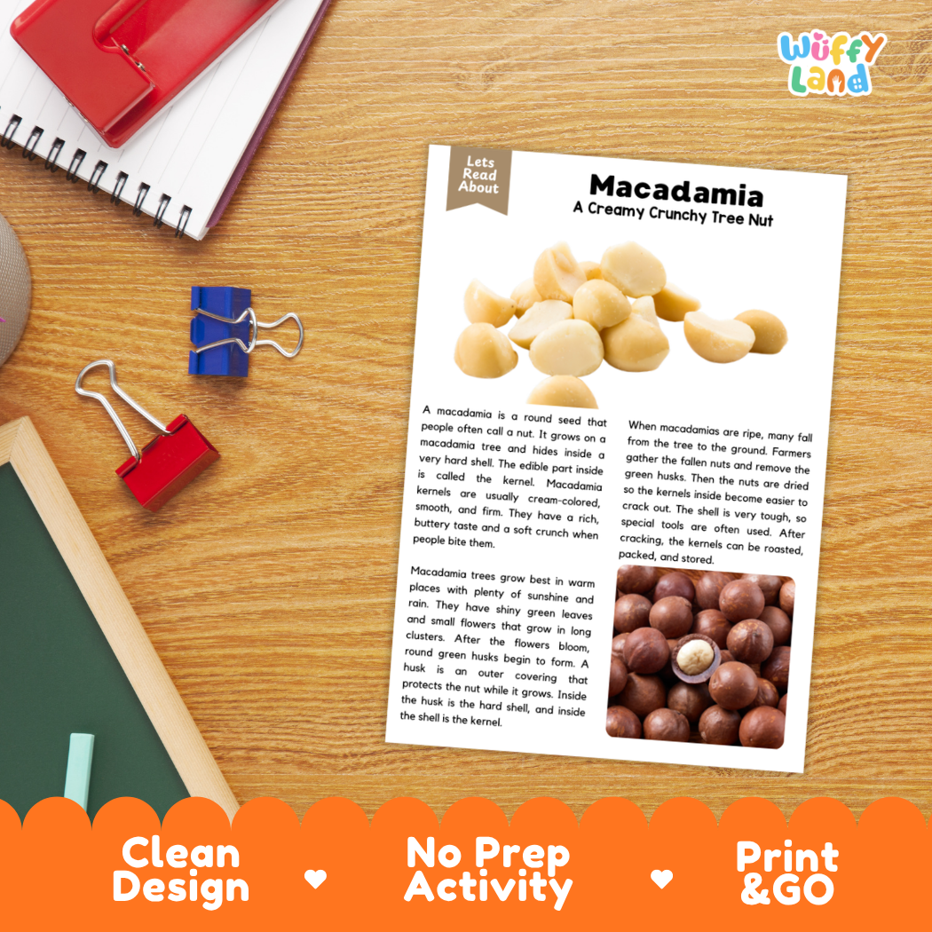 An educational activity sheet titled 'Macadamia: A Creamy Crunchy Tree Nut Fact Sheet' by Wiffly Land, displayed on a wooden desk with a red notebook, blue binder clips, and a pencil. The sheet features text, a photo of macadamia nuts, and an illustration, with promotional banners at the bottom reading 'Clean Design', 'No Prep Activity', and 'Print & GO'.