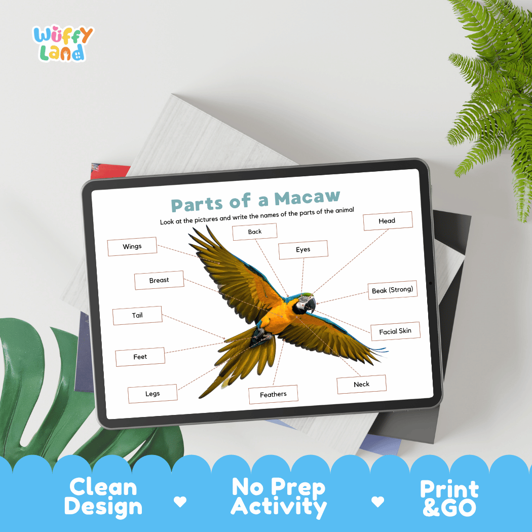 Hands-on macaw anatomy cut and paste worksheet with printable word tags, callout pointer lines, and scissors graphic