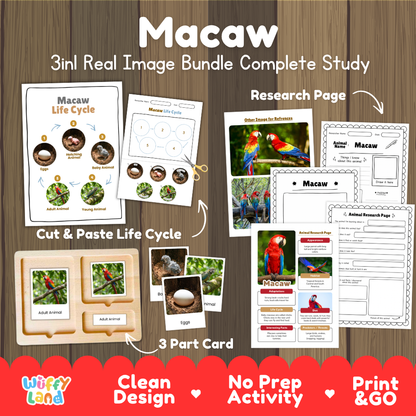 Macaw 3-in-1 real image bundle complete study cover showing cut and paste life cycle, 3 part cards, and research pages