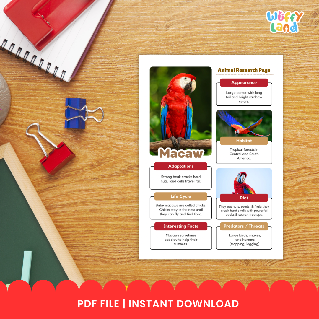 Educational printable pack titled “Macaw Animal Research Project” displayed on a wooden background. The set includes colorful photo reference pages of macaws and black-and-white research worksheets for students to fill in information such as habitat, diet, life cycle, adaptations, and interesting facts. 