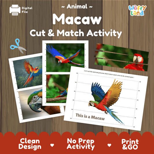 Macaw Cut and Match Activity Worksheets | Bird Animal Puzzle Printables