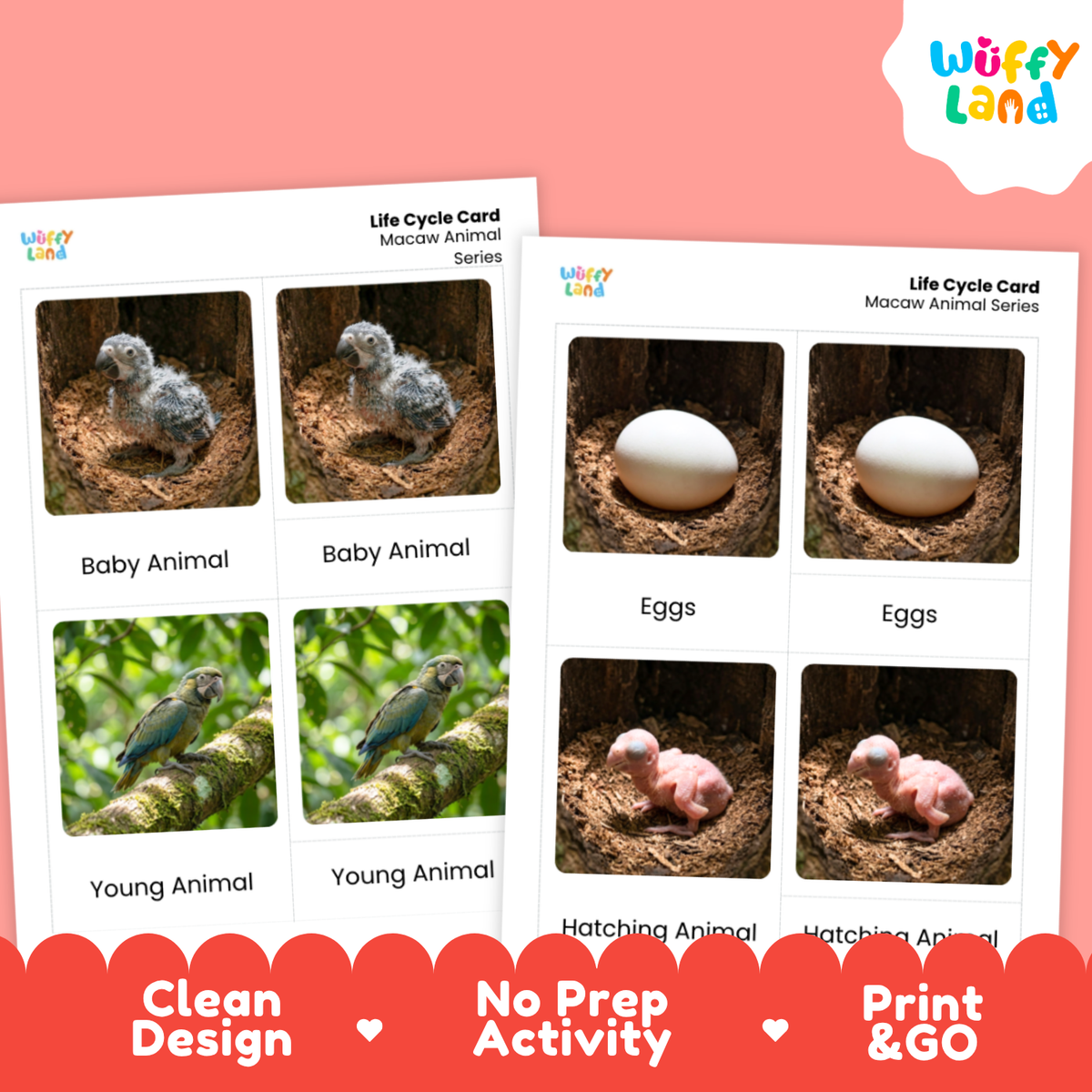 Two printed life cycle cards for macaws shown on a pink background with promotional text. The cards show labeled photos of a macaw egg, hatching chick, baby animal, and young animal.