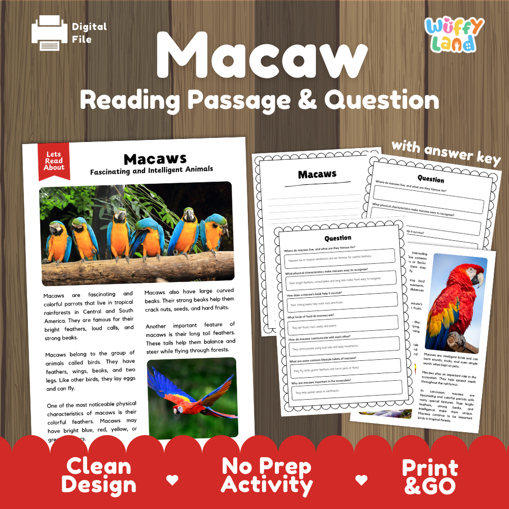 Digital reading activity bundle for macaws, featuring a reading passage, comprehension questions, and an answer key. The product is displayed on a dark wood background with a red banner at the bottom reading 'Clean Design', 'No Prep Activity', and 'Print & GO'.