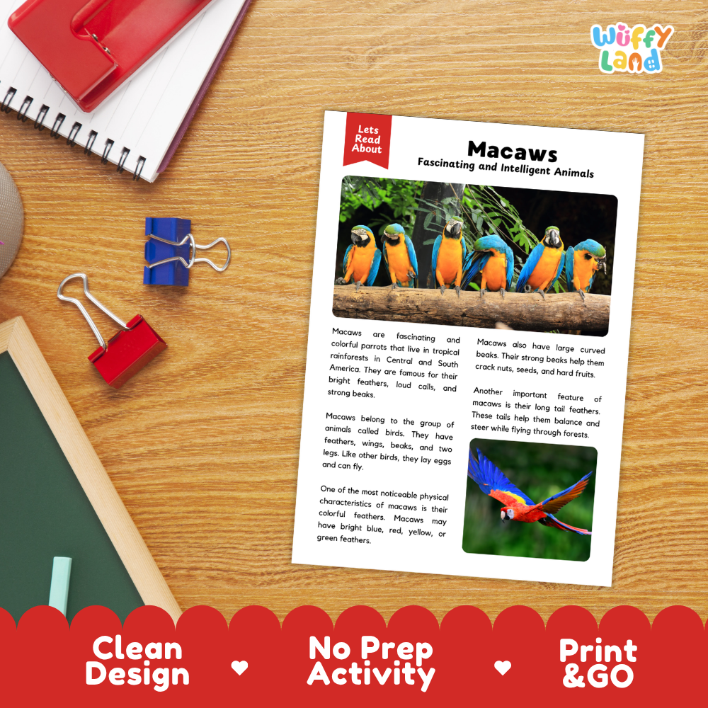 An educational activity sheet titled 'Macaws: Fascinating and Intelligent Animals' displayed on a wooden desk. The sheet features colorful photographs of macaws and text about them, styled with red and blue binder clips and a red notebook in the background.