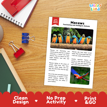 An educational activity sheet titled 'Macaws: Fascinating and Intelligent Animals' displayed on a wooden desk. The sheet features colorful photographs of macaws and text about them, styled with red and blue binder clips and a red notebook in the background.