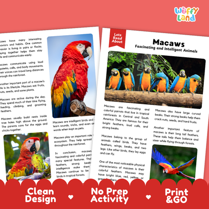 Macaws Reading Passage and Comprehension Questions Worksheets with Answer Key