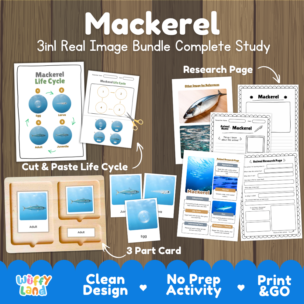 Mackerel 3-in-1 real image bundle complete study cover showing cut and paste life cycle, 3 part cards, and research pages
