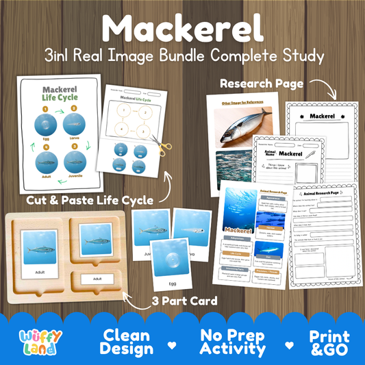Mackerel 3-in-1 real image bundle complete study cover showing cut and paste life cycle, 3 part cards, and research pages