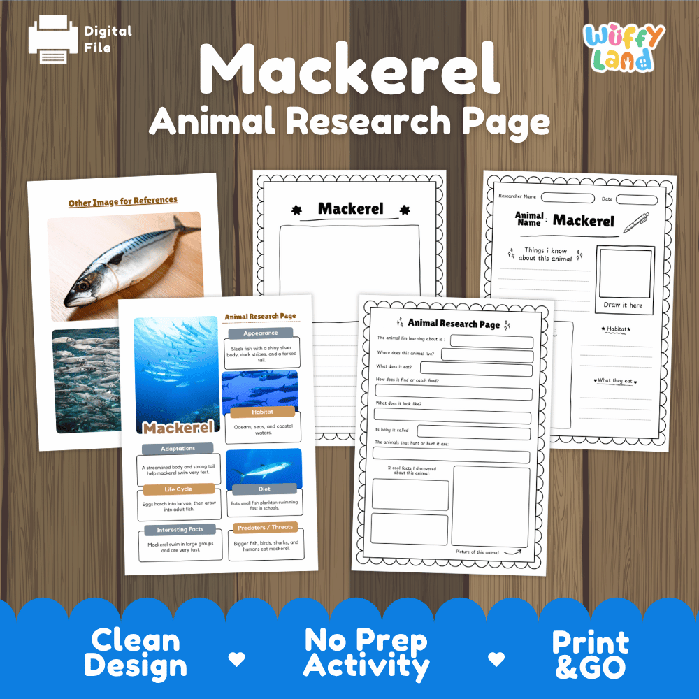 Mackerel Animal Research Page Worksheets and Fact Sheet Activity