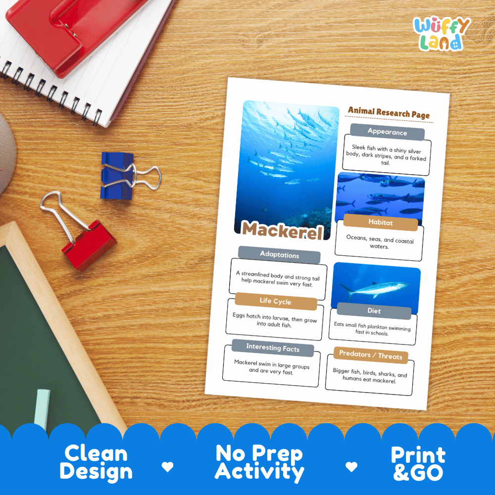 Mackerel Animal Research Page Worksheets and Fact Sheet Activity