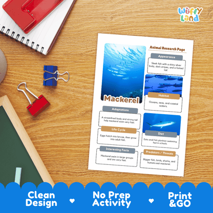 Mackerel Animal Research Page Worksheets and Fact Sheet Activity