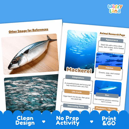 Mackerel Animal Research Page Worksheets and Fact Sheet Activity