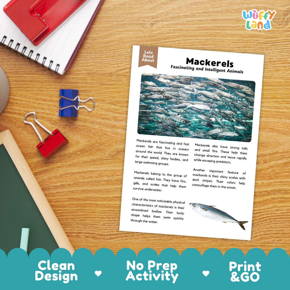 An educational mackerel fact sheet activity card displayed on a wooden desk with school supplies. The white card features a blue header, a photograph of mackerel fish, and text about mackerels.