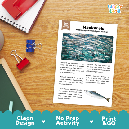 An educational mackerel fact sheet activity card displayed on a wooden desk with school supplies. The white card features a blue header, a photograph of mackerel fish, and text about mackerels.