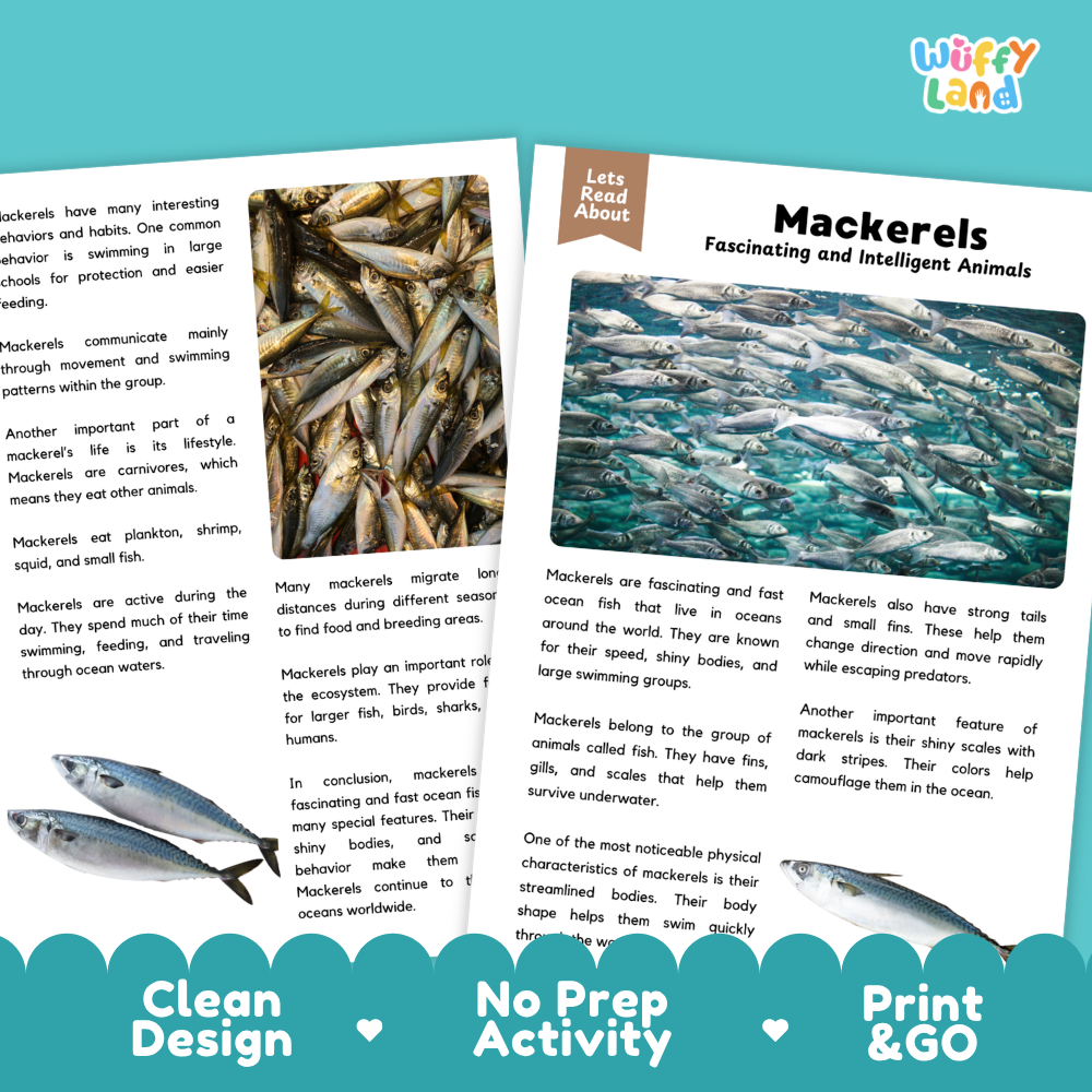 A children's educational activity sheet titled 'Lets Read About Mackerels' with text and a picture of mackerel fish, shown on a white background with decorative blue and green banners reading 'Clean Design', 'No Prep Activity', and 'Print & Go'.