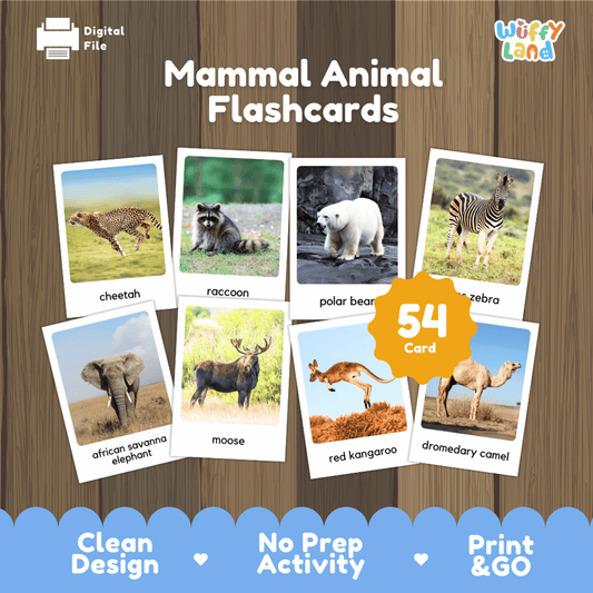 Mammal Animal Flashcards printable zoology and wildlife real photo activity pack overview from Wuffy Land featuring 54 cards 🐆🐻