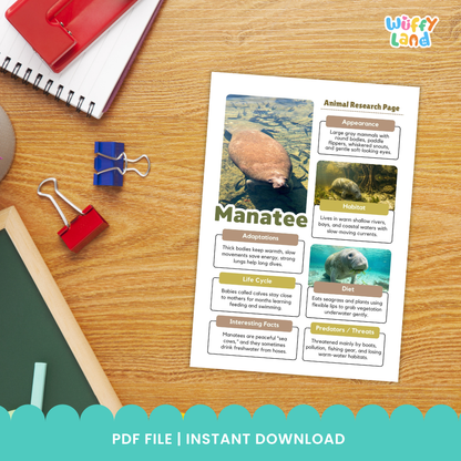 Manatee Animal Research Page Printable Worksheets for Early Elementary