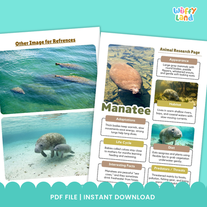 Manatee Animal Research Page Printable Worksheets for Early Elementary