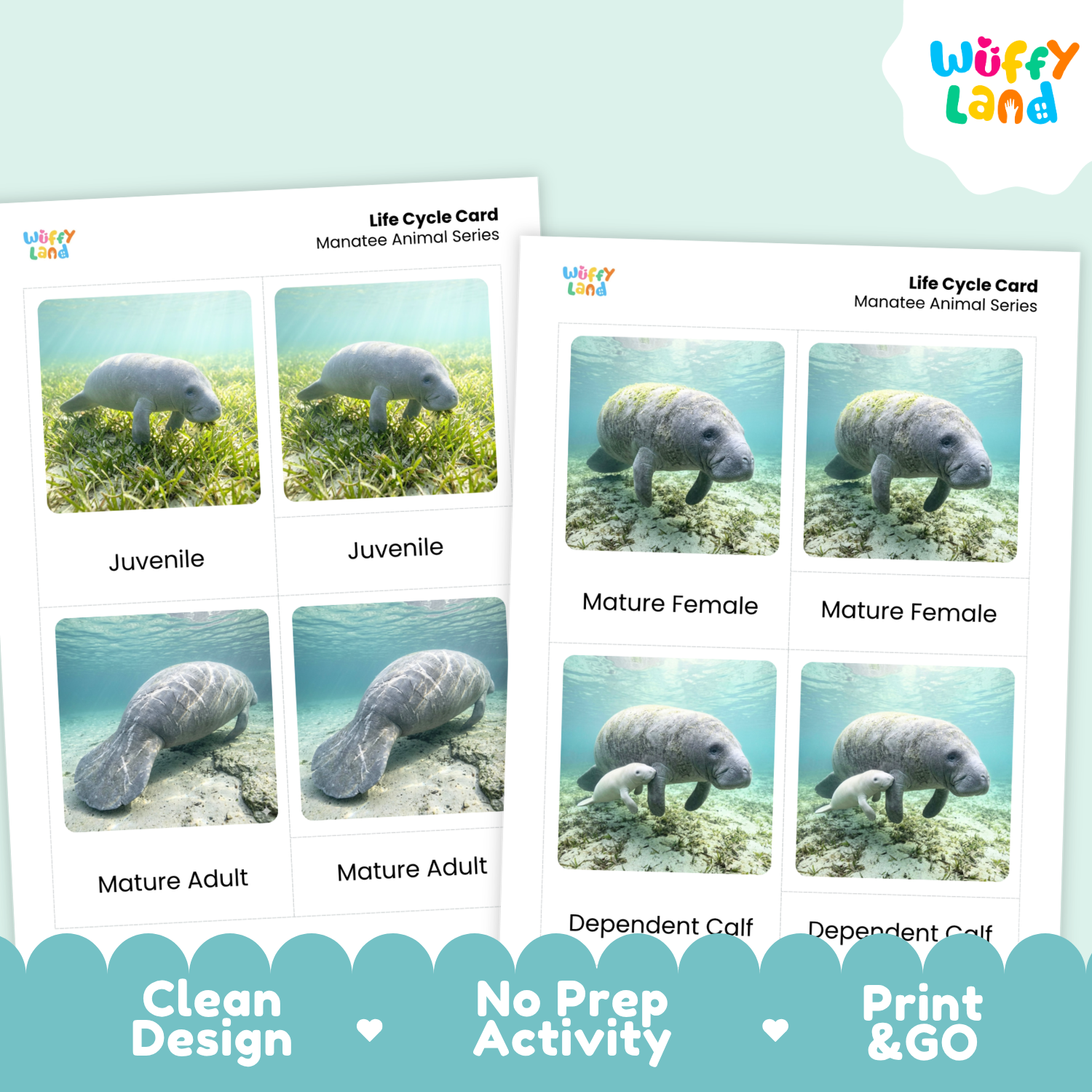 Two printed life cycle cards for manatees from Wiffy Land, showing underwater photos of juvenile, mature female, mature adult, and dependent calf stages, on a pale mint background with promotional text along the bottom.