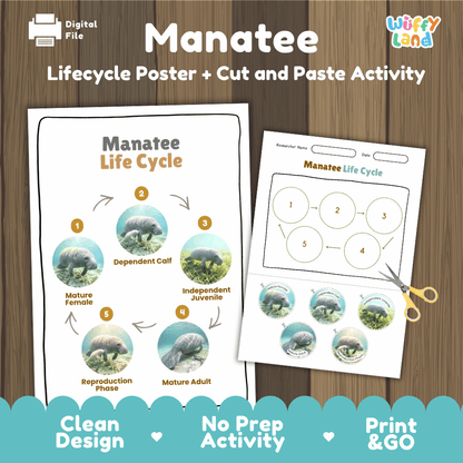 Manatee Life Cycle Poster and Cut and Paste Worksheet Activity