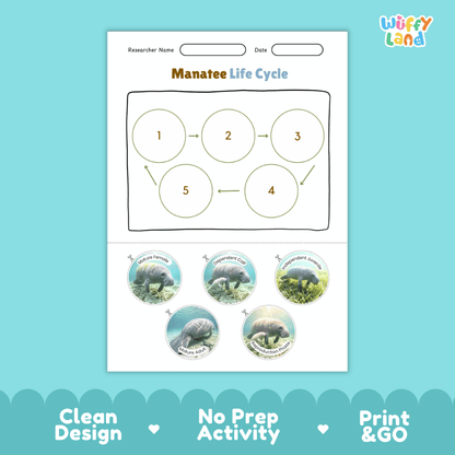 Manatee Life Cycle Poster and Cut and Paste Worksheet Activity