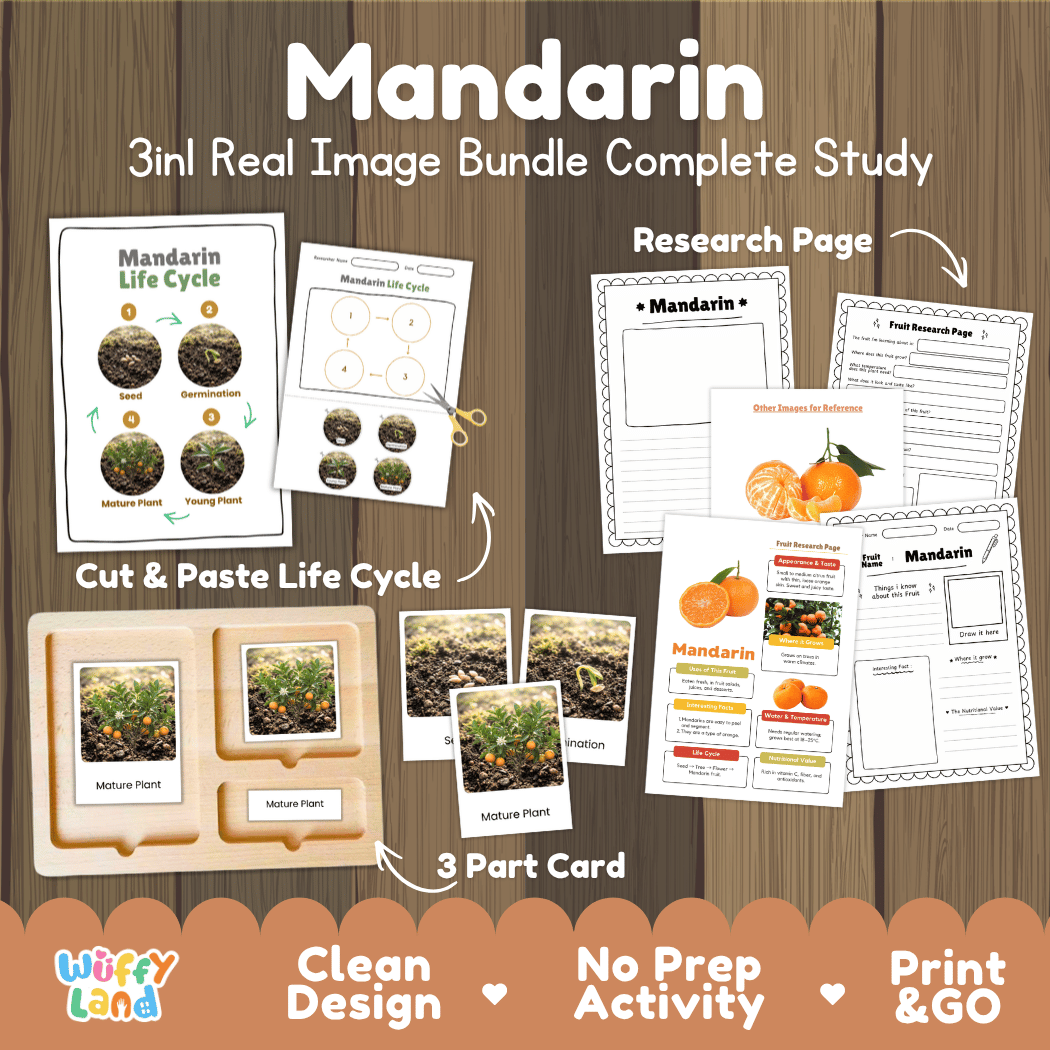 Complete Mandarin 3-in-1 real image study bundle featuring cut and paste worksheets, Montessori 3-part cards, and research pages 🍊🌱