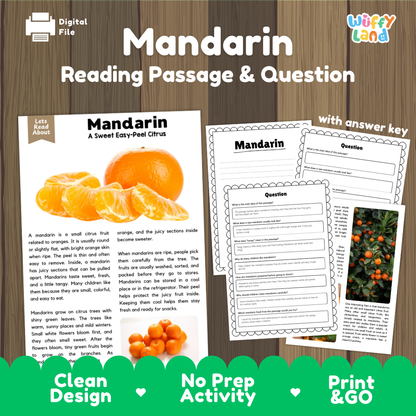 Mandarin reading comprehension passage and questions printable activity pack with answer key for elementary students