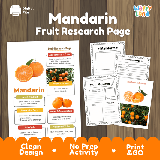 Mandarin Fruit Research Activity Worksheet Science Healthy Eating Lunar New Year