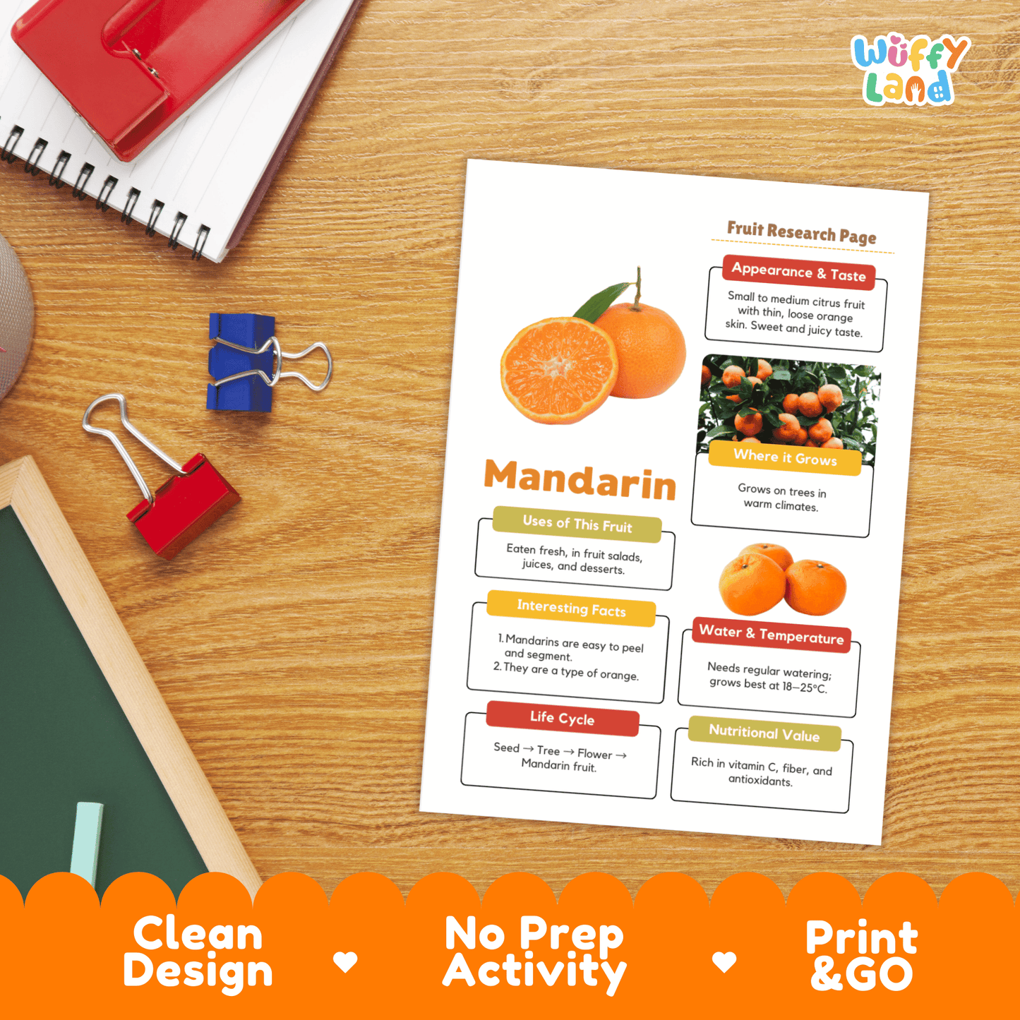 Mandarin Fruit Research Activity Worksheet Science Healthy Eating Lunar New Year