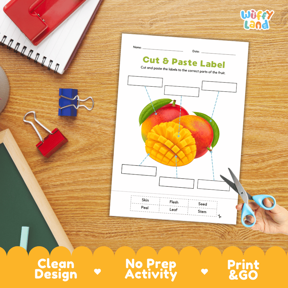 Printable plant biology worksheet showing sliced and whole ripe mangoes with blank labeling boxes and a vocabulary word bank for writing practice