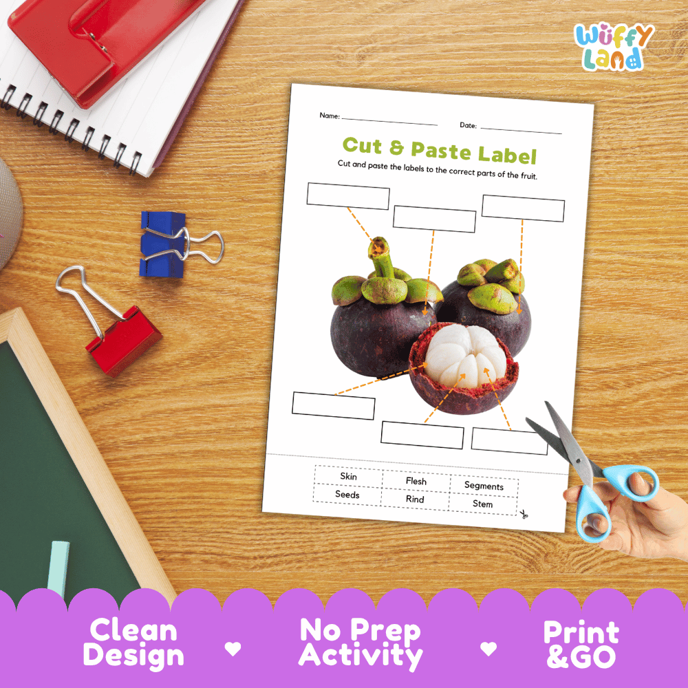 Differentiated mangosteen fruit labeling worksheets featuring write-in callout boxes and vocabulary word bank