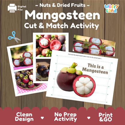 Mangosteen cut and match activity cover showing printable fine motor puzzle sheets and fruit photographs