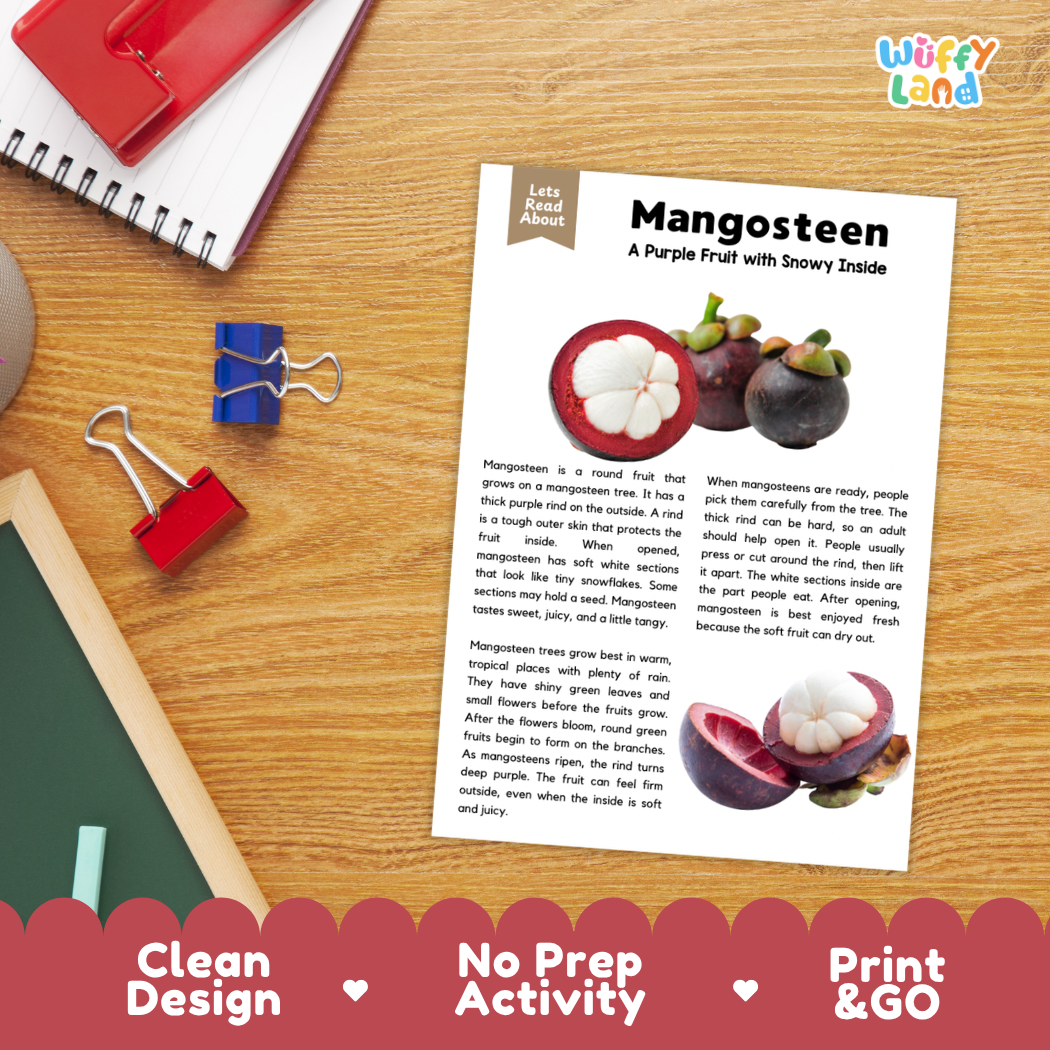 Student reading comprehension worksheet with short-answer questions and lined sections about the mangosteen fruit