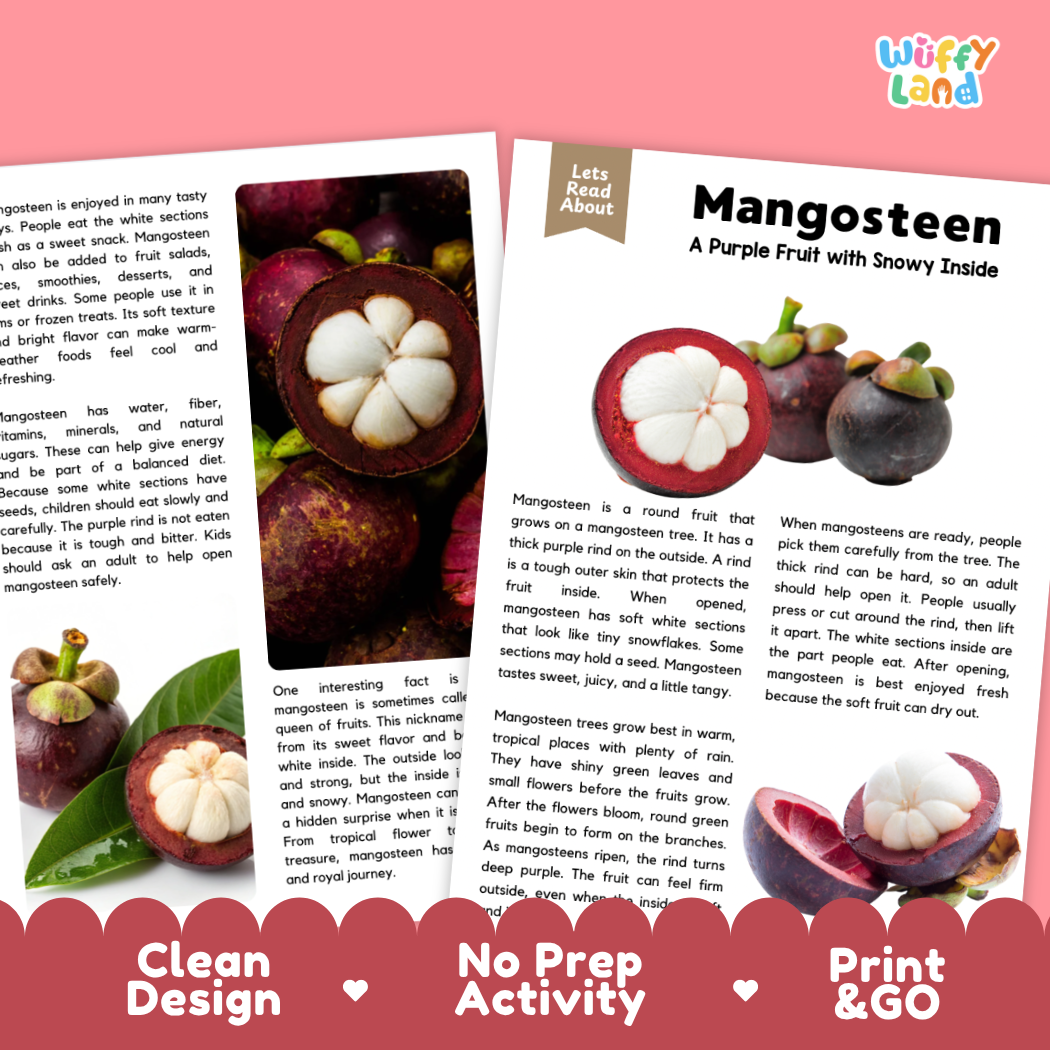 Teacher answer key page showing complete question solutions for Mangosteen nature and science reading comprehension practice