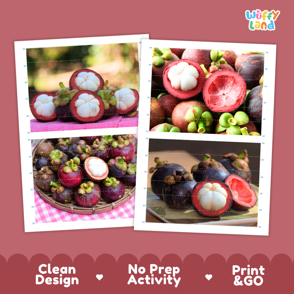 Printable activity sheets featuring photographic mangosteen puzzle boards and cutting guides