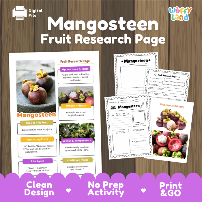 Digital preview of a 'Mangosteen Fruit Research Page' activity sheet set by Wiffy Land, showing the main poster and three worksheet pages on a dark wood background with a purple banner at the bottom.