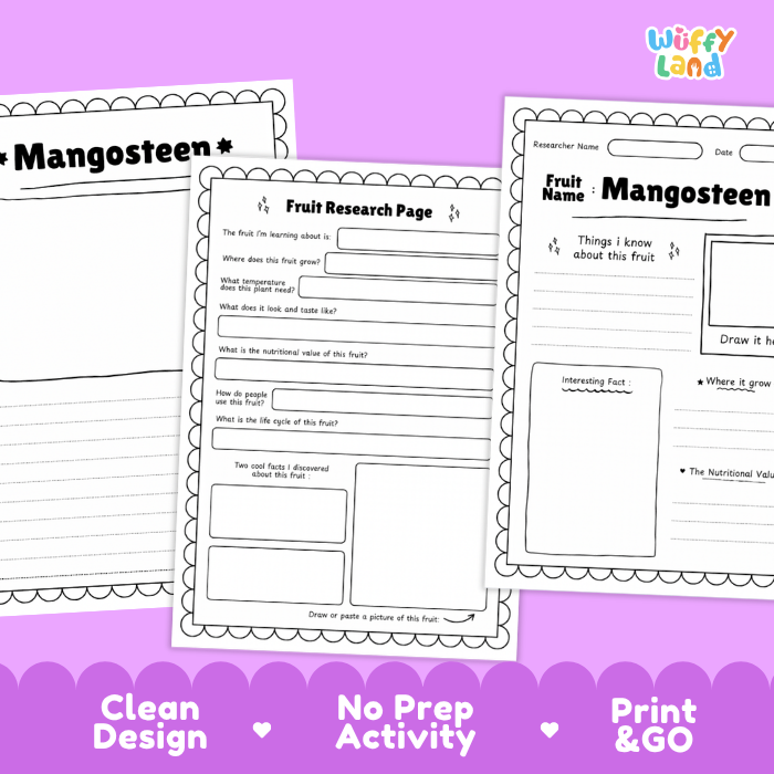 Three printable worksheet pages for a fruit research activity, shown overlapping on a purple background. The pages are labeled 'Fruit Name Mangosteen' and contain writing and drawing sections.