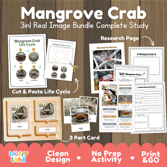 Mangrove crab 3-in-1 real image bundle complete study cover showing cut and paste life cycle, 3 part cards, and research pages